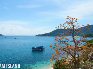 Tour du lịch Cù Lao Chàm